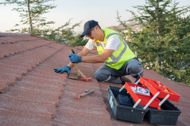Best Slate Roofing Contractor  in Vermillion, SD